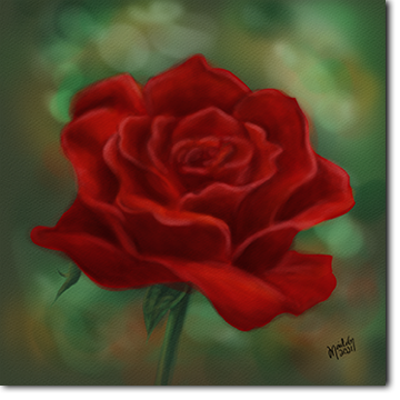 Giclee 8x8 Fine Art Print "Red Rose" - Maile Cristina Artist