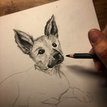 Pet Portrait