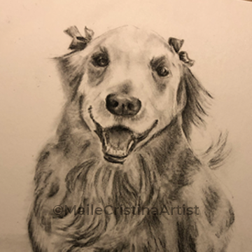 Pet Portrait