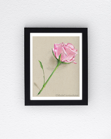 8x10 Giclee Art Print "Soft Pink Rose" - Maile Cristina Artist
