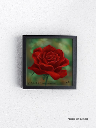 Giclee 8x8 Fine Art Print "Red Rose" - Maile Cristina Artist