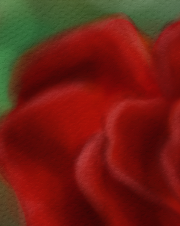 Giclee 8x8 Fine Art Print "Red Rose" - Maile Cristina Artist